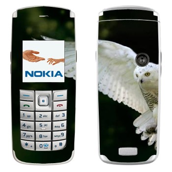 Nokia 6020