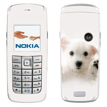 Nokia 6020