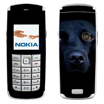 Nokia 6020