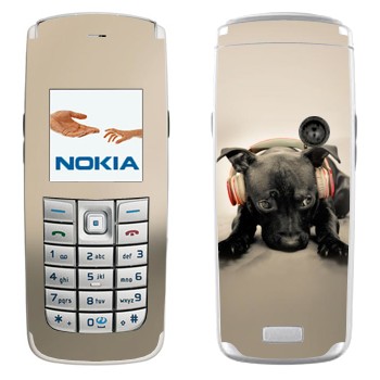 Nokia 6020