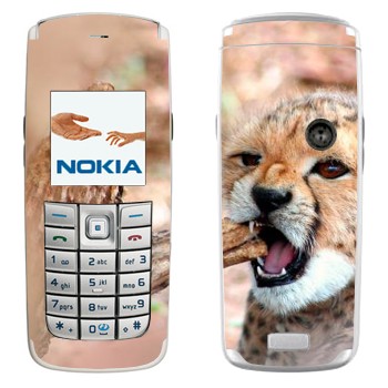   « »   Nokia 6020