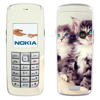   «»   Nokia 6020