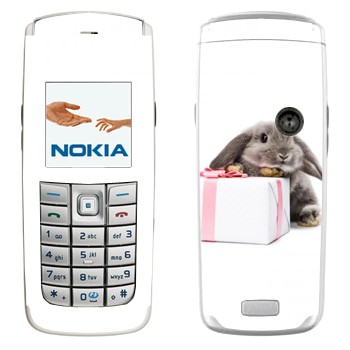 Nokia 6020