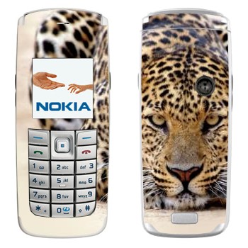 Nokia 6020