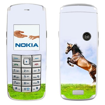 Nokia 6020