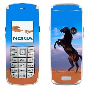   «  »   Nokia 6020