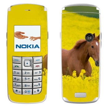   «  »   Nokia 6020