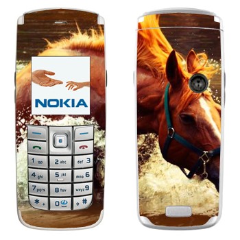   «  »   Nokia 6020