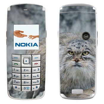   «»   Nokia 6020