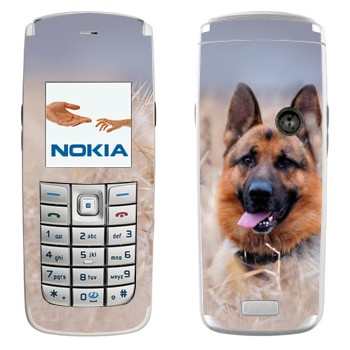 Nokia 6020