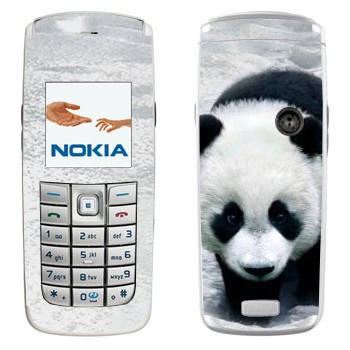   «  »   Nokia 6020