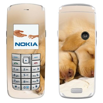 Nokia 6020