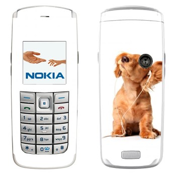   «  »   Nokia 6020