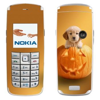   «  »   Nokia 6020