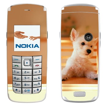 Nokia 6020