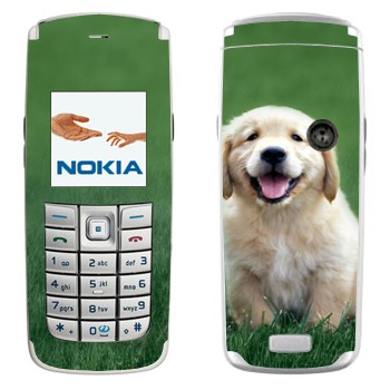   «  »   Nokia 6020