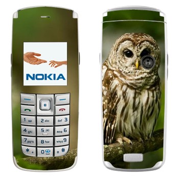   «  »   Nokia 6020