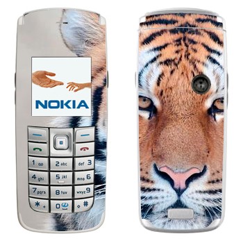   « »   Nokia 6020