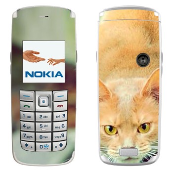   «  »   Nokia 6020