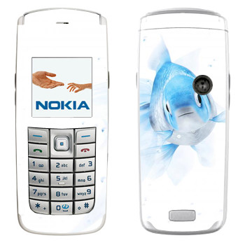 Nokia 6020