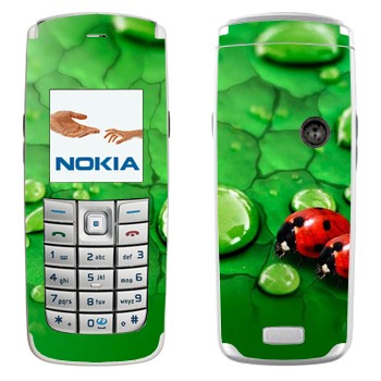 Nokia 6020