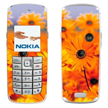   «  »   Nokia 6020