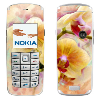   «»   Nokia 6020