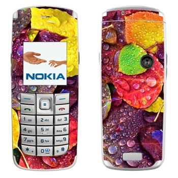 Nokia 6020