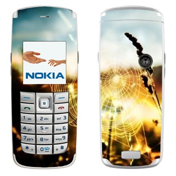   «»   Nokia 6020