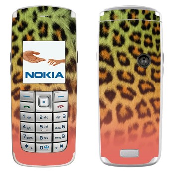   «  -»   Nokia 6020