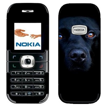   « »   Nokia 6030