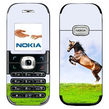   «    »   Nokia 6030