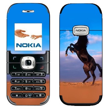 Nokia 6030