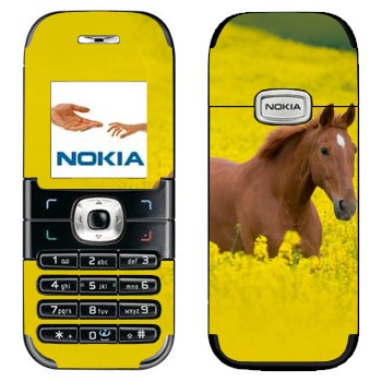   «  »   Nokia 6030