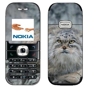   «»   Nokia 6030