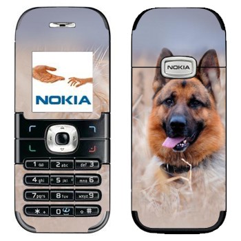   «  »   Nokia 6030