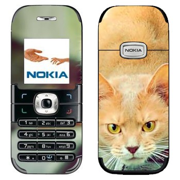   «  »   Nokia 6030