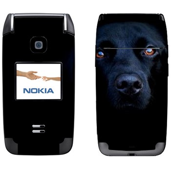 Nokia 6125