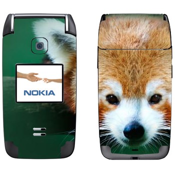 Nokia 6125