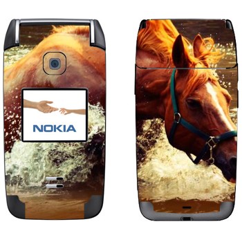   «  »   Nokia 6125