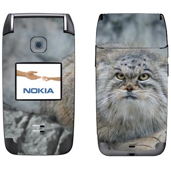   «»   Nokia 6125