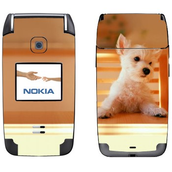   «  »   Nokia 6125