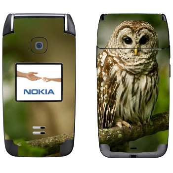   «  »   Nokia 6125