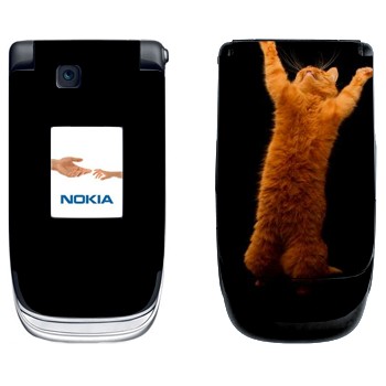   «     »   Nokia 6131