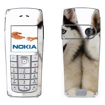 Nokia 6230, 6230i