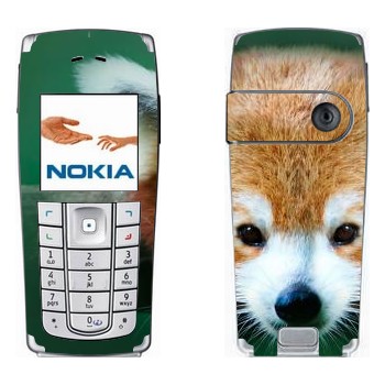   « »   Nokia 6230, 6230i