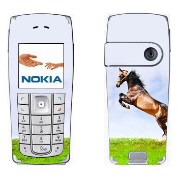   «    »   Nokia 6230, 6230i