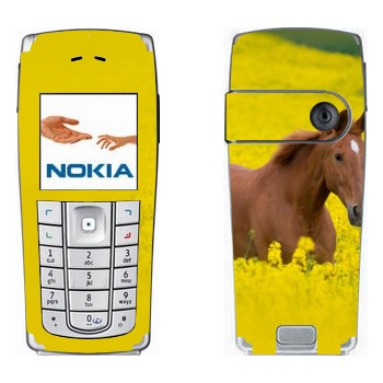   «  »   Nokia 6230, 6230i