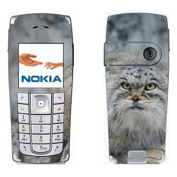   «»   Nokia 6230, 6230i