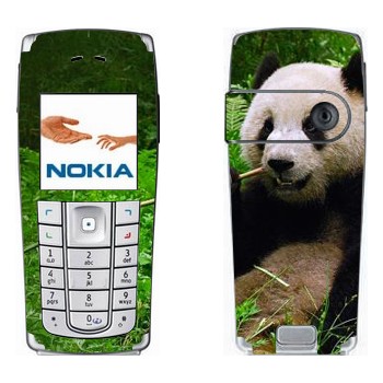   «  »   Nokia 6230, 6230i